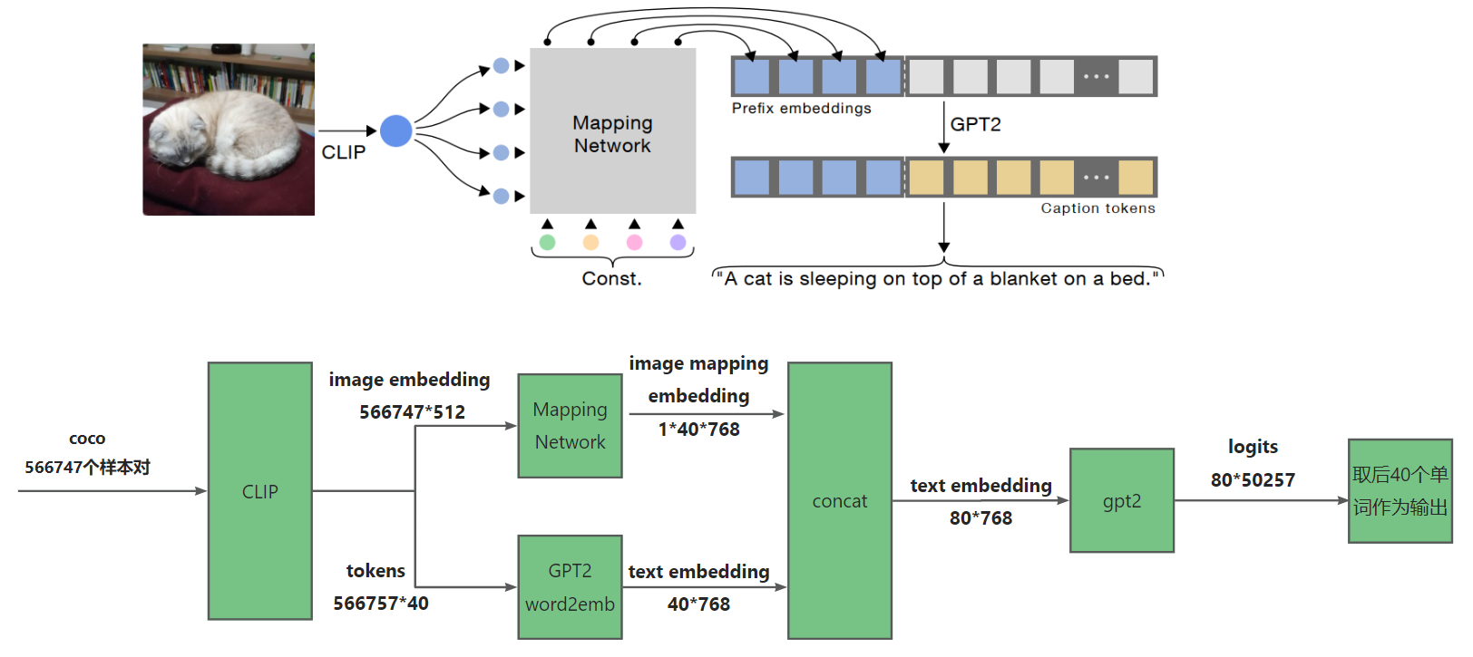 clipcap-diagram