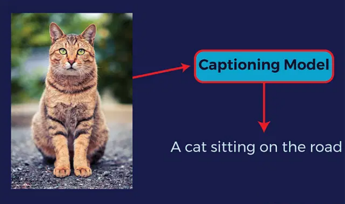 image-captioning-demo